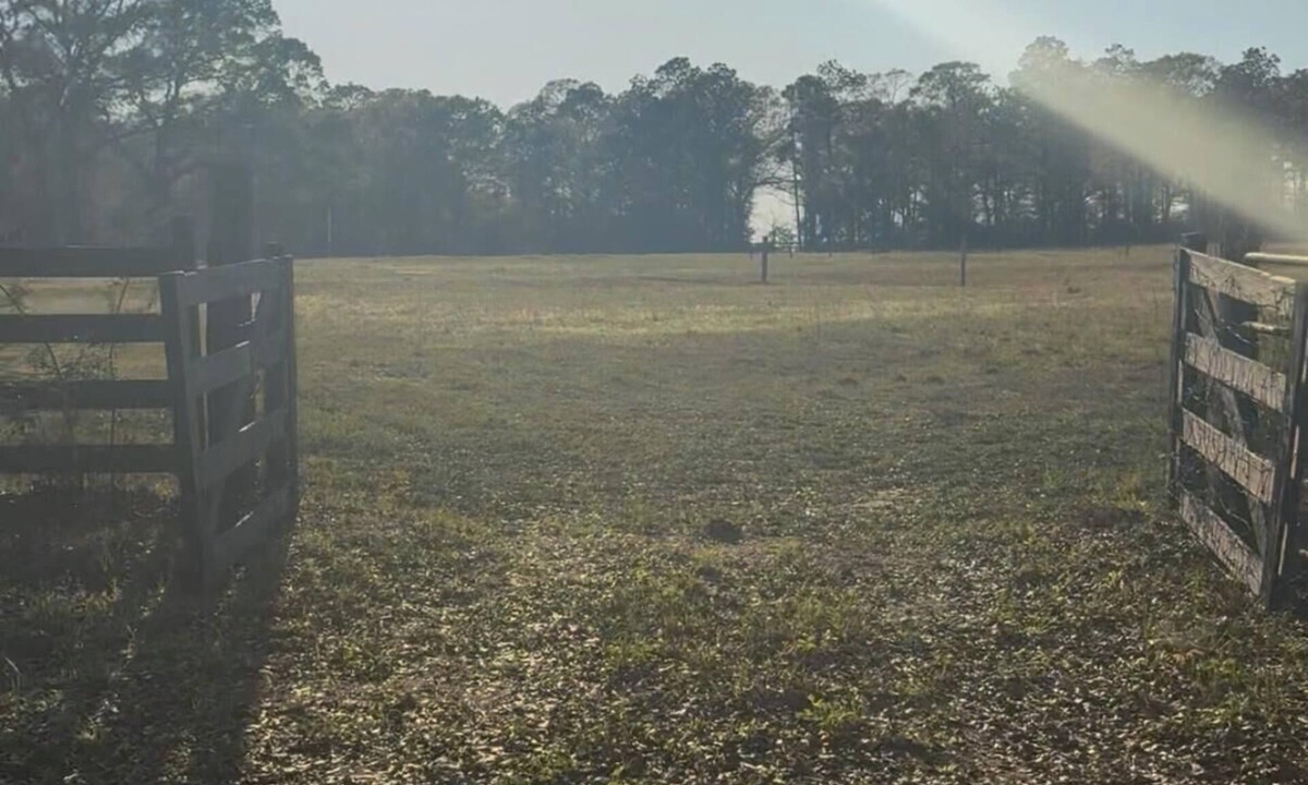 Laurel Hill RV Rental | 29 acre private campground in soothing Laurel Hill perfect for adventure