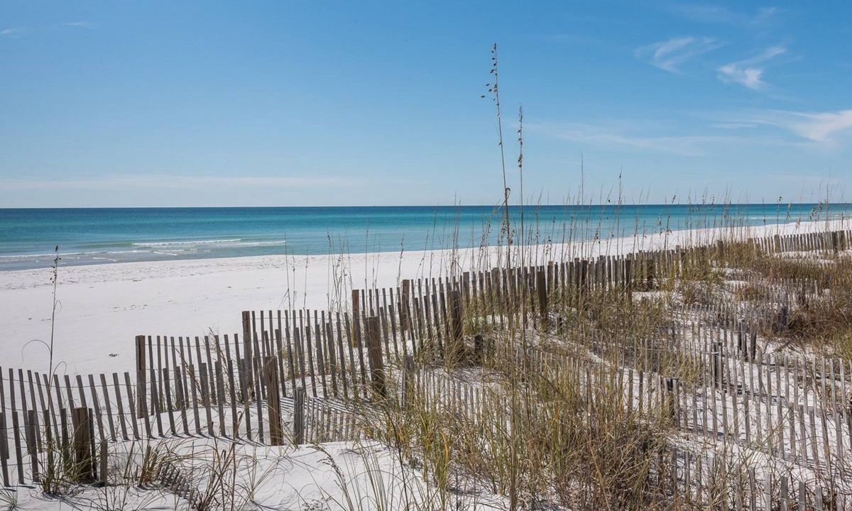 Gulf Trace House | 30% OFF REMAINING 2024 AVAILABILITY~SANDYTOES~Pet Friendly~Gulf View~Private