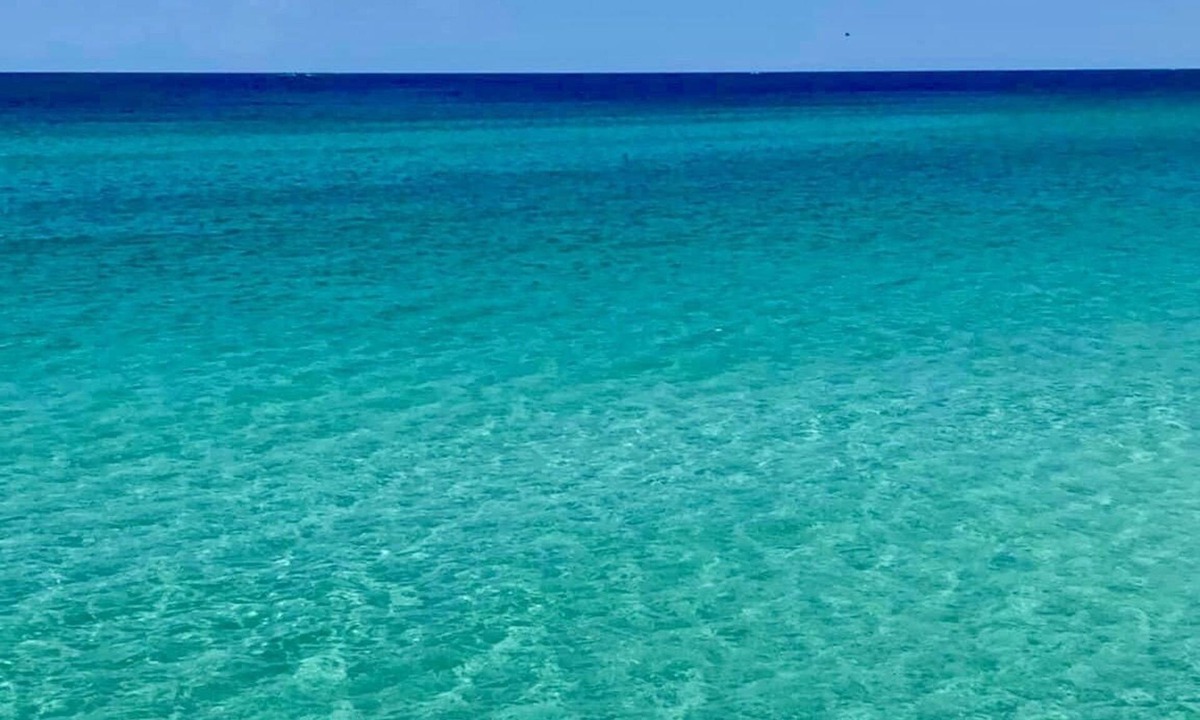 Summer Breeze Condo | Ask about “Last minute specials”! Beach house close to all of the best places!