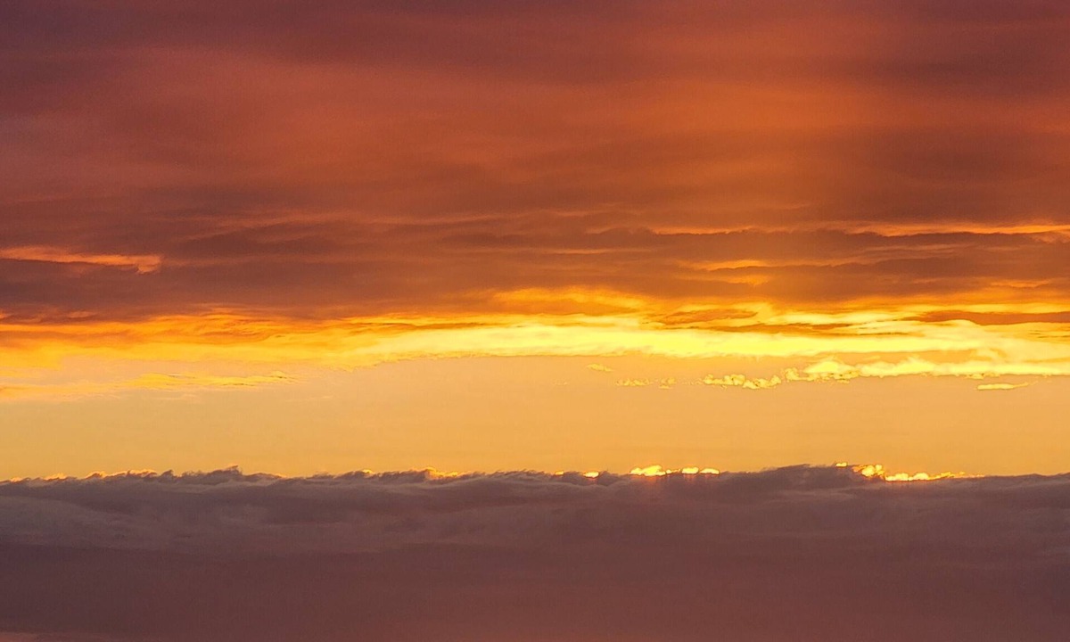 Gulf Place Condo | Bch Views/Sunsets on the Gulf of America - 409 top floor Short walk to Bch/Din