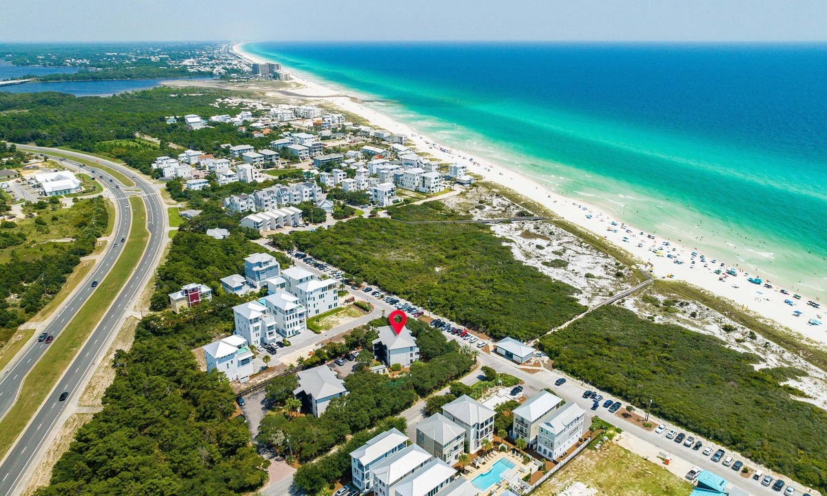 Bee | Inlet Beach