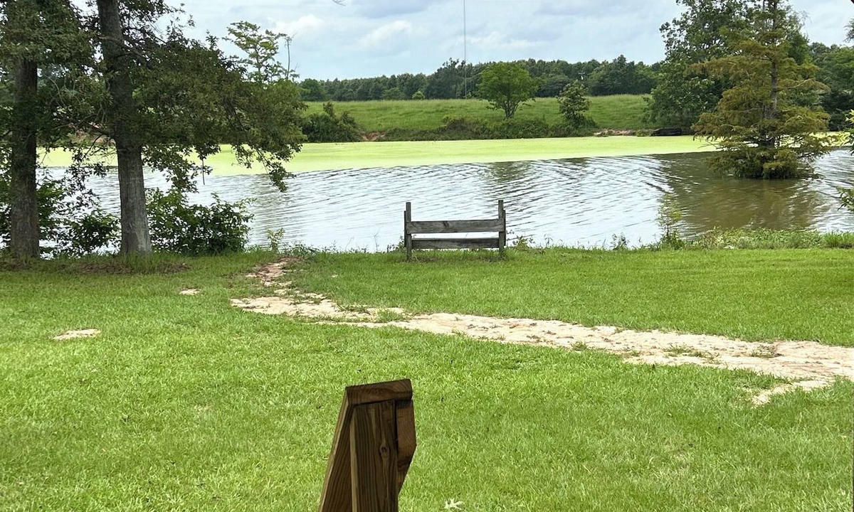 Start Cottage | Bonne Idee Landing - New Bayou-Front Cabin Retreat