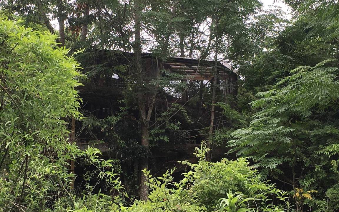 Live Oak Other | Camping ∙ 1 bedroom ∙ 2 guests