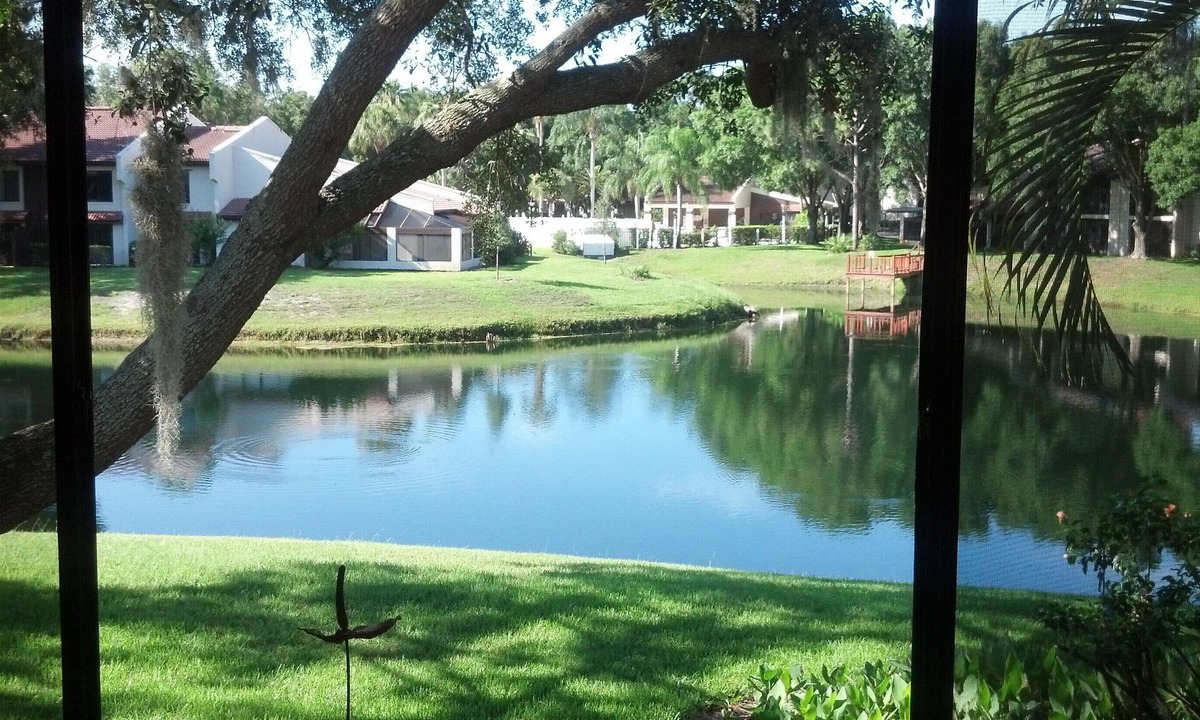 Palm Harbor Condo | Centrally Located Lakefront Luxury in the Heart of Tampa Bay