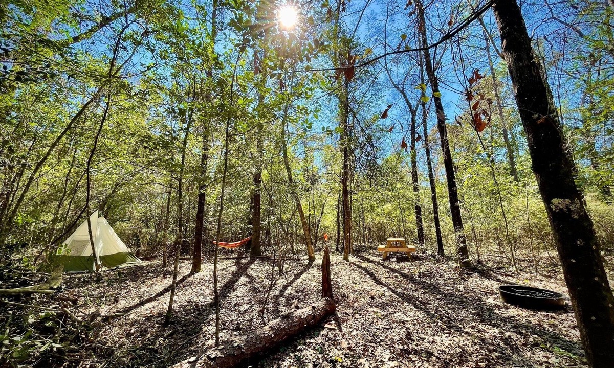 Cantonment RV Rental | Christian Retreat Campsite #5 - Hidden Holly