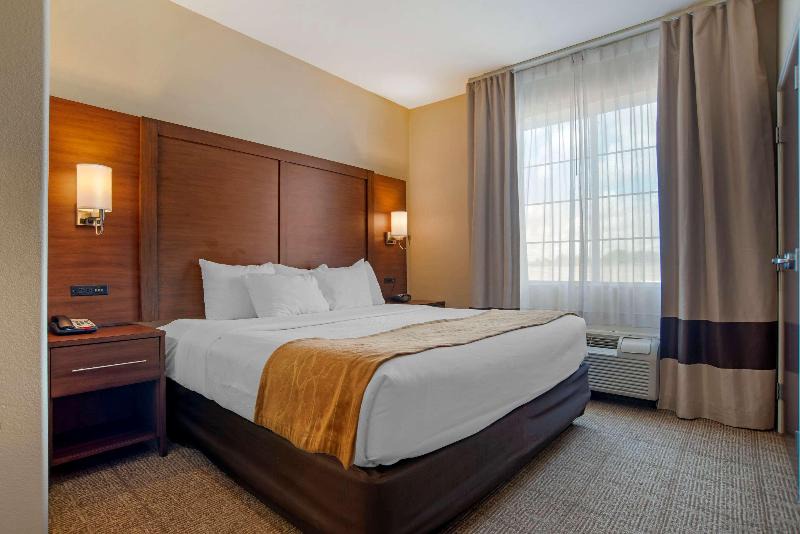 Alexandria Hotel | Comfort Suites Alexandria