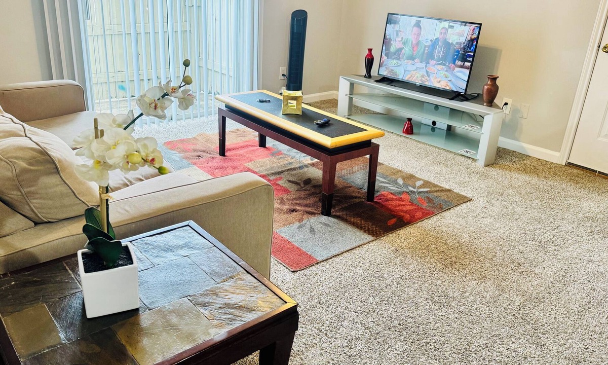 Astrodome Apartment | Convenient Cozy 1-BR apartment, close to downtown, NRG, fine dining, Med Ctr
