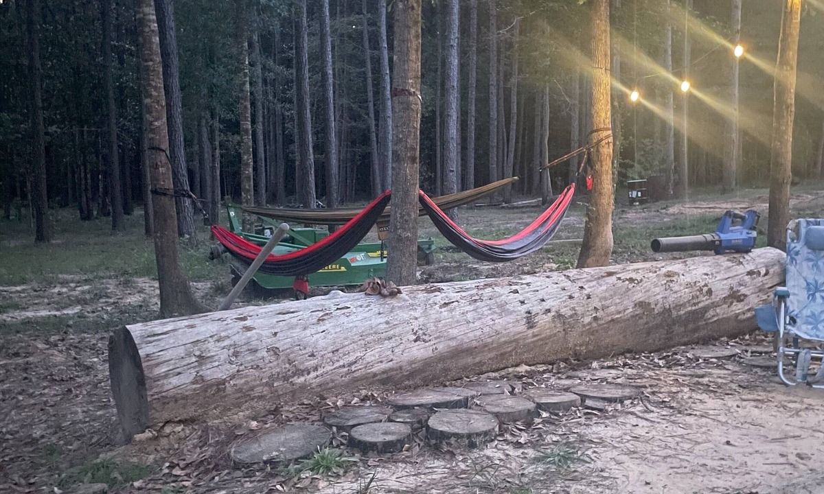 Call Cabin | Cozy 1-bedroom cabin in beautiful Jasper with AC for relaxing stays