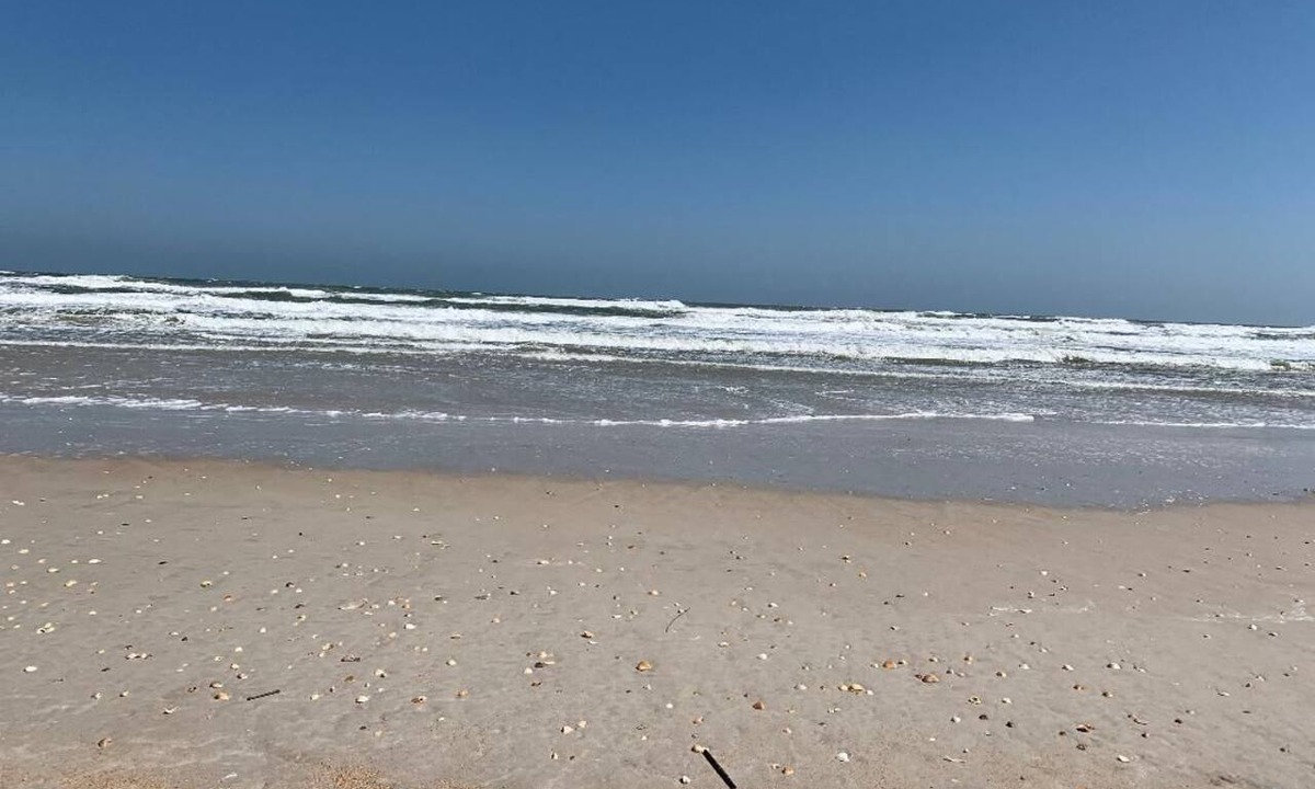 New Smyrna Beach Condo | Cozy 2-bedroom condo in tranquil New Smyrna Beach with breathtaking views