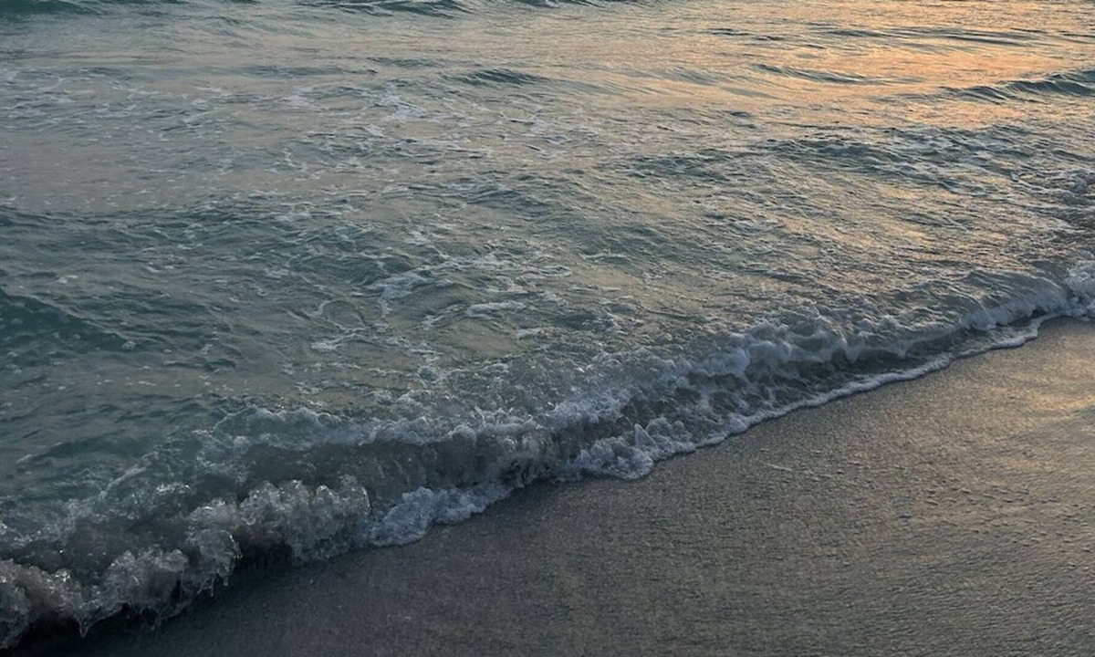 Holmes Beach Cottage | Cozy beach retreat! Walk 2 minutes to the Gulf of Mexico! Quiet, kind neighbors!