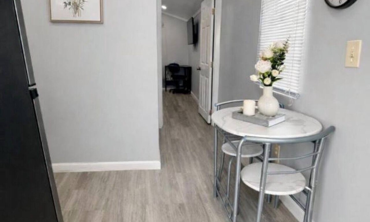Limona Improvement Apartment | Cozy Private Studio Queen Bed Private Patio Near Tampa