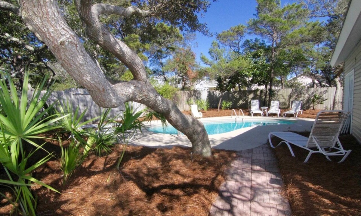 Clipper Cove House | DESTIN BEACH PARADISE! LARGE PRIVATE POOL, AMAZING BEACHES AND GOLF CART DEALS!