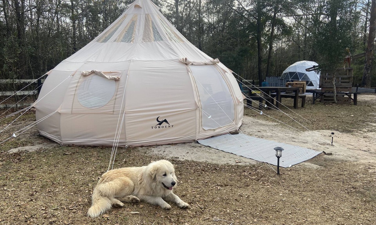 Tallahassee RV Rental | Farmstay Glamping AGRItourism retreat-HERSHEYS HUT-cows, chicks, goat, minihorse