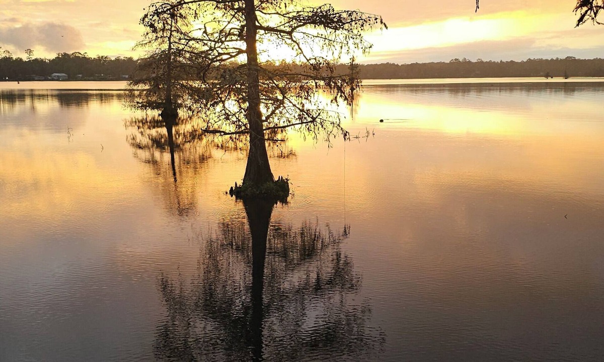 Dry Creek RV Rental | Lake front lot for rent.