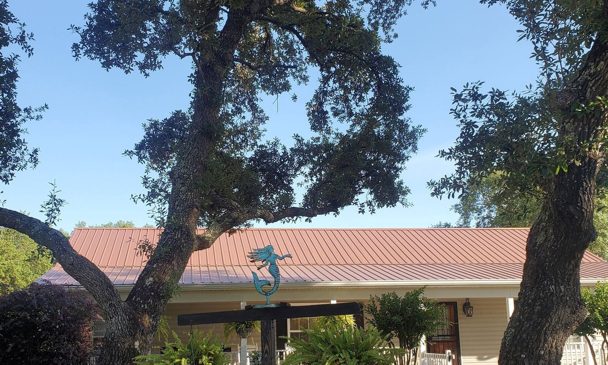 Magnolia Bluffs House | Perfect getaway home for the holidays! You can even bring the furkids