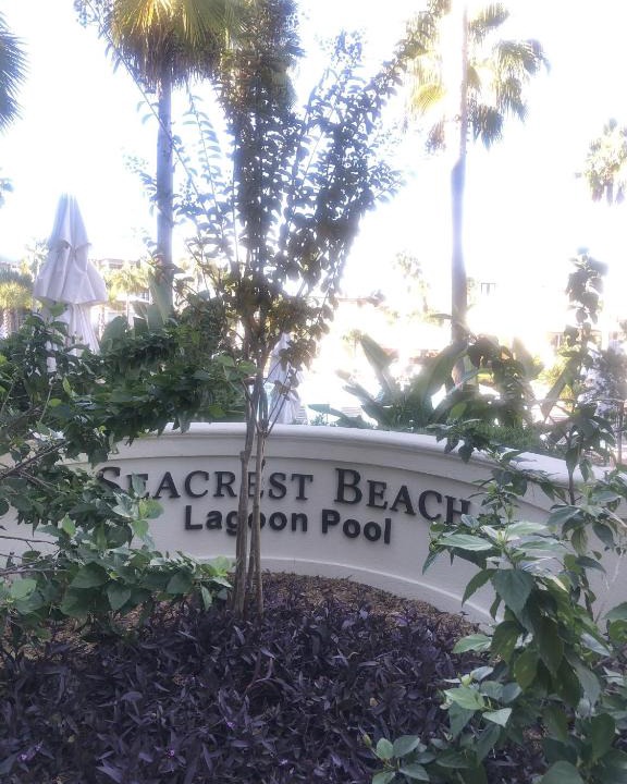 Seacrest Beach Villa | Posh Paradise - 1803109