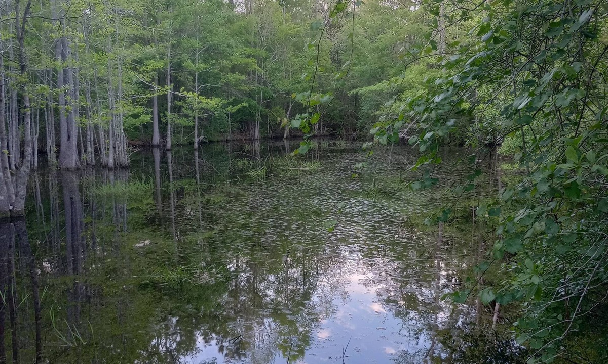 Graceville RV Rental | Private camping near Panama City and Panama City Beach. Includes a fire pit 🔥
