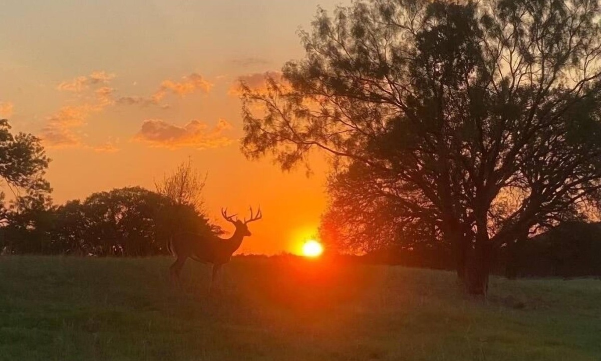 Lampasas House | Private Ranch Getaway Near Lampasas 3BR Lodge Game Room Fishing Wildlife & Views