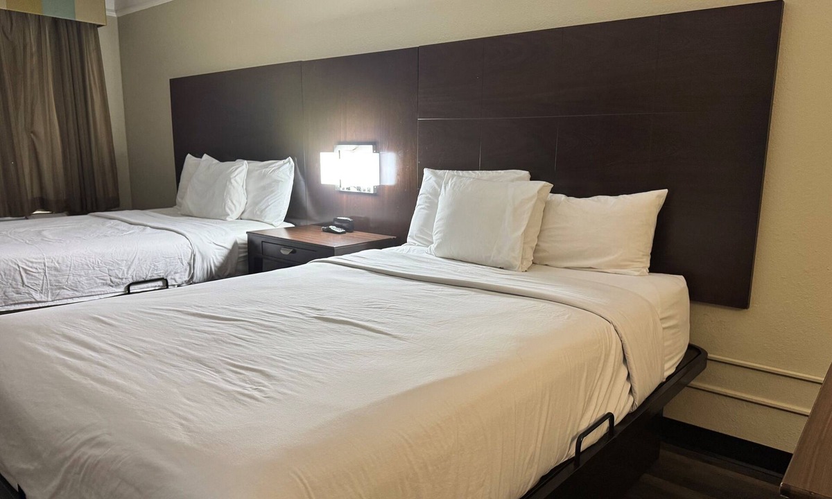 Tuscaloosa Hotel | Quality Inn & Suites Tuscaloosa near University
