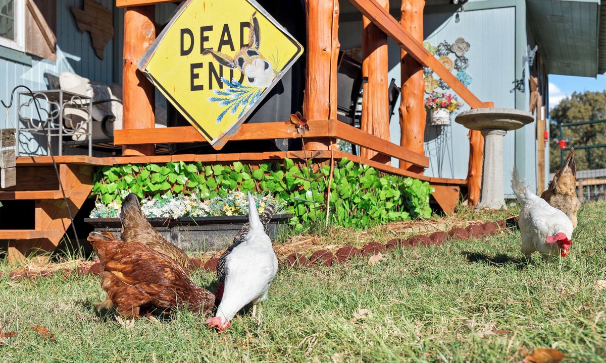 Edom Cottage | Rosie's Ranch Retreat - Farm Stay