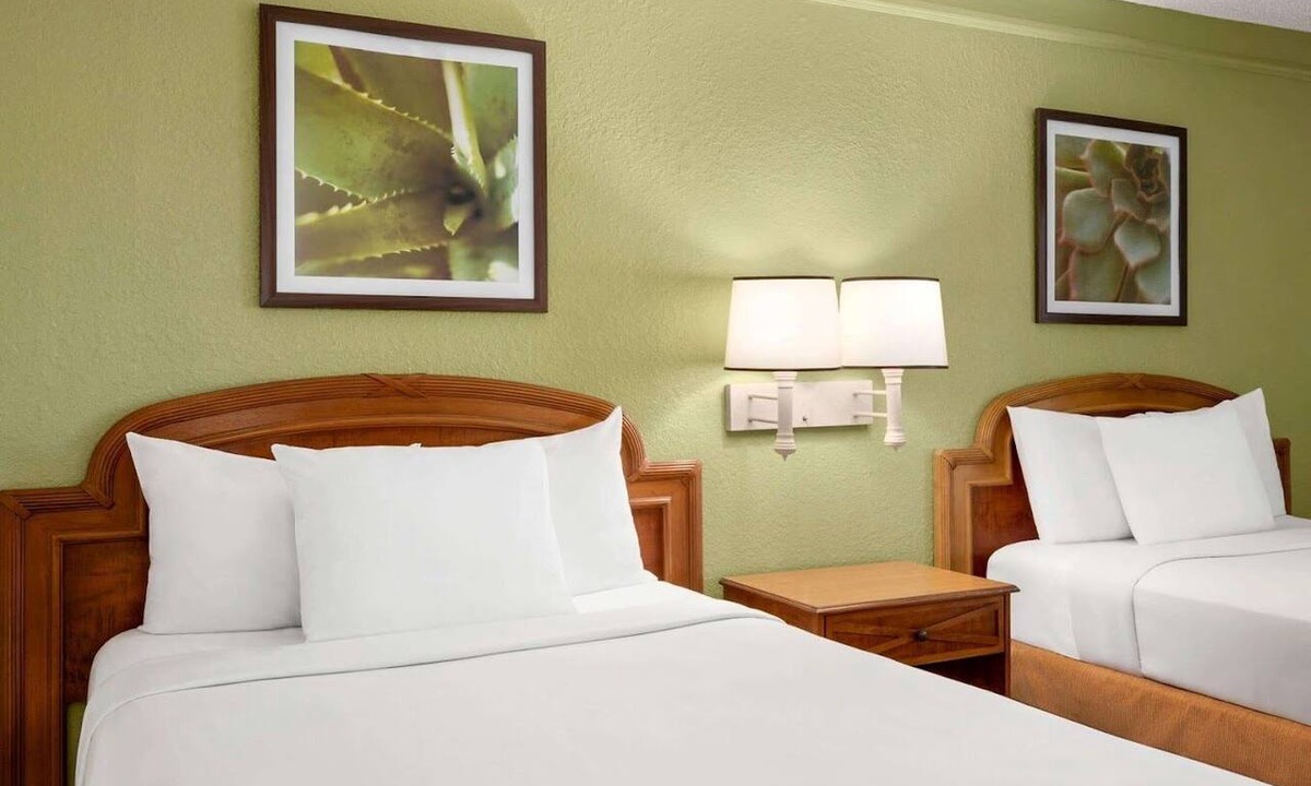 Daytona Beach Hotel | Soho Inn & Suites