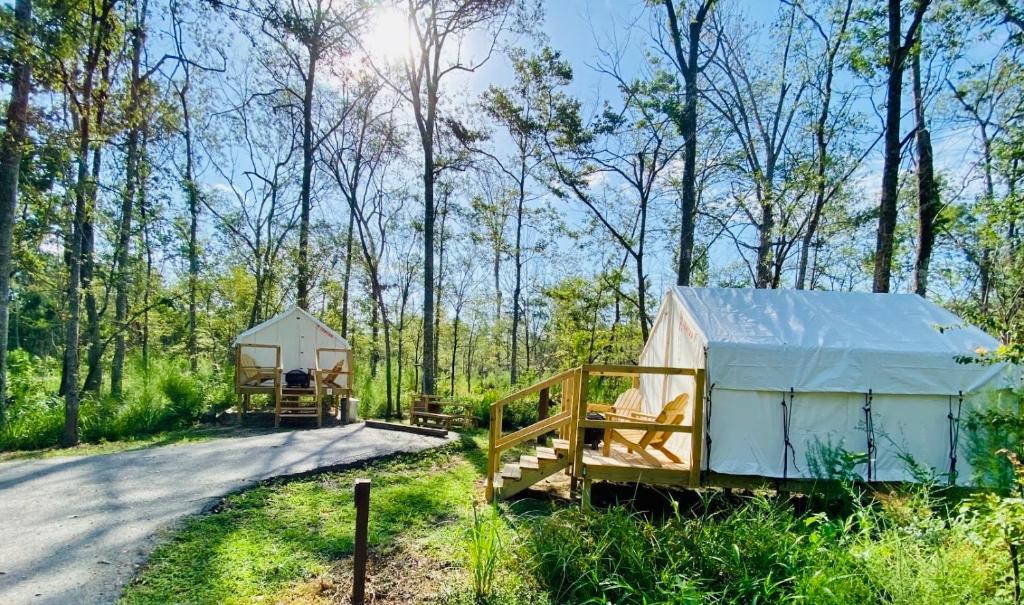 Springfield Other | Tentrr - Louisiana Tickfaw State Park - Woodland D - Double Camp