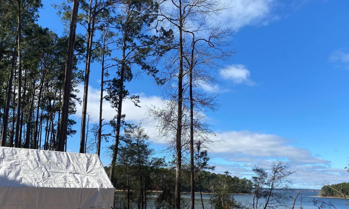 Anacoco RV Rental | Tentrr State Park Site - Louisiana South Toledo Bend State Park - Site C - Sing
