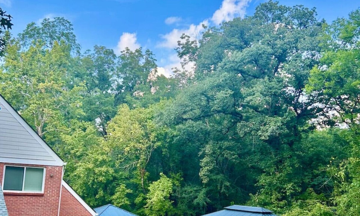 Starkville House | The Bulldog Basecamp | Sleeps 18 | Game Day