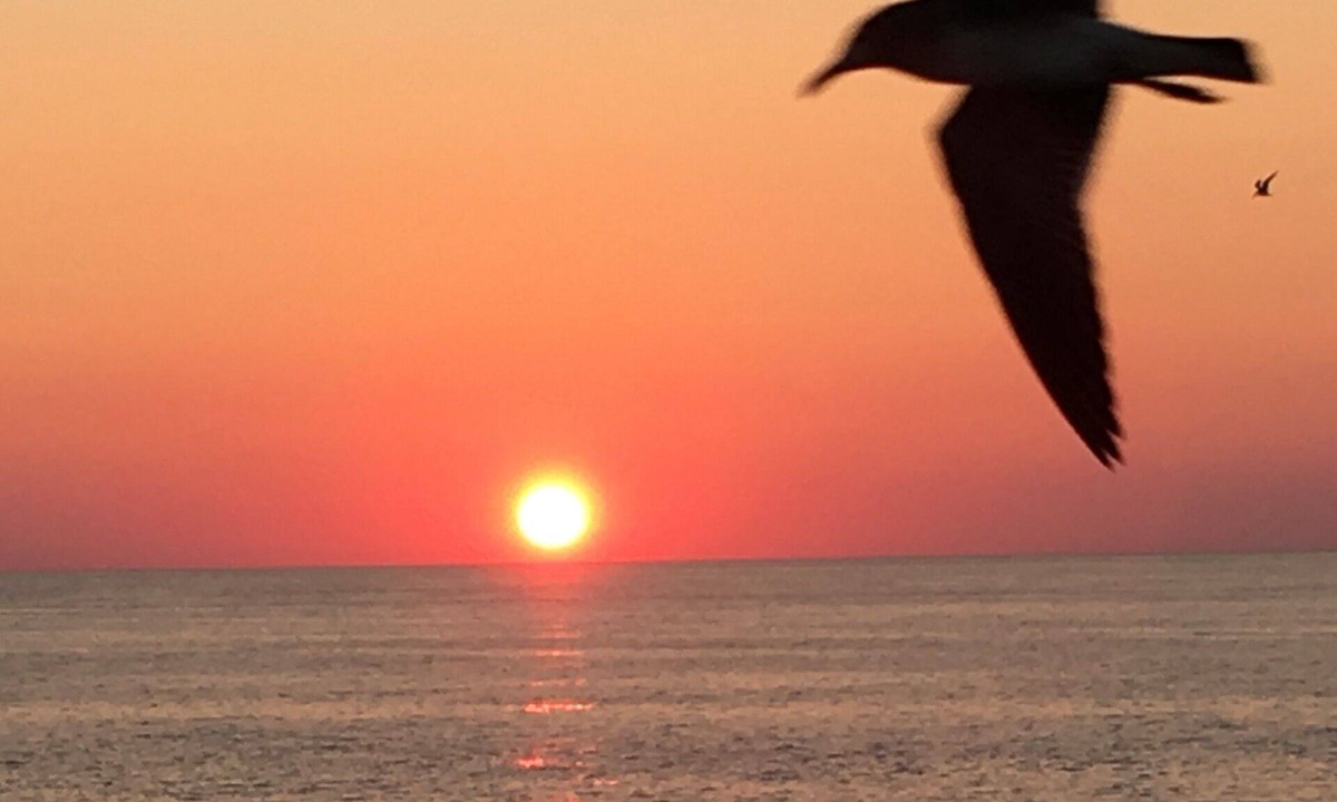 Miramar Beach Condo | The Water Is Still Warm!