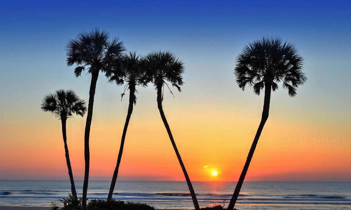 Daytona Beach Condo | Wyndhams Ocean Walk Resort