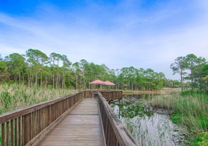 30A Getaway: Redfish Village ★ POOL VIEW ★ Blue Mountain ★ Free Beach Bonfires in JULY