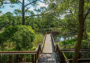 30A Getaway: Redfish Village ★ POOL VIEW ★ Blue Mountain ★ Free Beach Bonfires in JULY