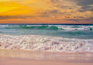 Come and Enjoy the Beautiful Emerald Waters at Emerald Surf Unit 404