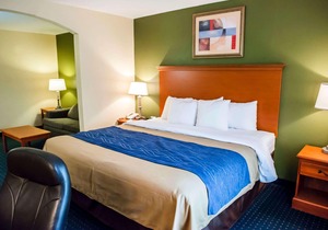 Comfort Inn & Suites Chipley I-10