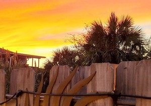 Nash-Shell Beach Cottage. Close to the beach, pets considered.