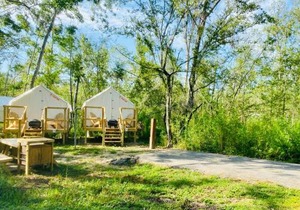 Tentrr - Louisiana Tickfaw State Park - Woodland E - Double Camp