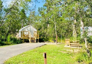 Tentrr - Louisiana Tickfaw State Park - Woodland F - Single Camp