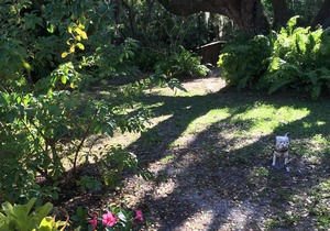 Waterfront Villa Manatee on Warm Mineral Springs *Pool *Deck in North Port