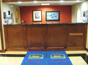 Angel Inn | Pine Forest