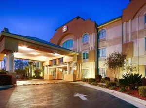 Angel Inn | Pine Forest