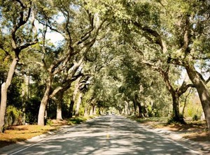 Hampton Inn Suites Pine Forest Road | Northeast Pensacola