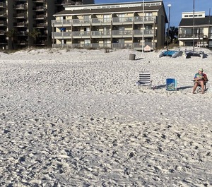 Shores Of Panama City Beach 