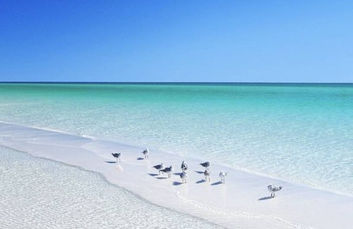 Miramar Beach House | 300 m² House ∙ 7 bedrooms ∙ 16 guests