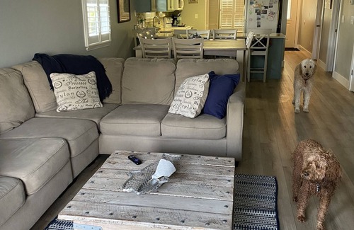 Cape San Blas House | August Openings: Book Your Beach Vacation Now! 3 BR, 2 BA, Pet friendly