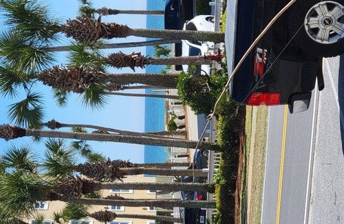 Crystal Beach Condo | Condo ∙ 1 bedroom ∙ 6 guests