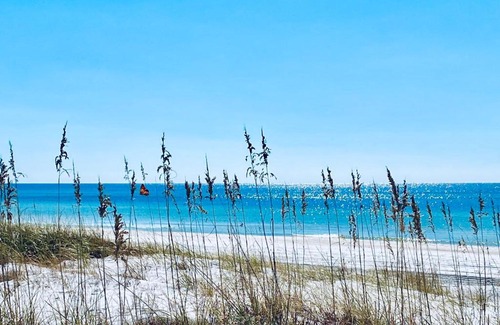 Biltmore Beach Apartment | Gulf of Mexico Getaway! Steps 2 sand, sun & surf! Car available!