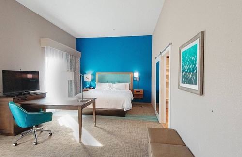 Mary Esther Hotel | Hampton Inn & Suites Mary Esther-Fort Walton Beach 1 King Studio Suite Hearing Accessible