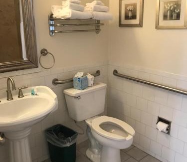 Downtown House | New Orleans House - Gay Male Adult Guesthouse