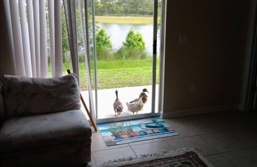Panama City Beach House | Sunny Daze, Your Beach Home Away From Home