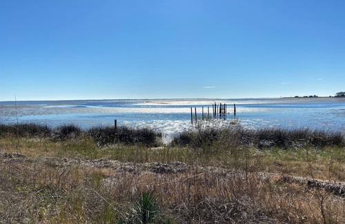 Carrabelle Apartment | The Kingfish @ Cole's Lodge
